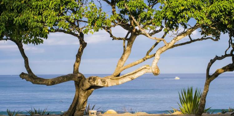 October Offers for Exceptional Luxury Villas - Punta Mita Villas